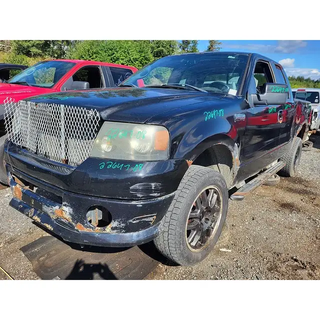 FORD F-150 2008 — Côté gauche